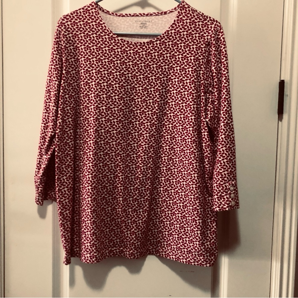 Apple seeds, woman, size 1X long sleeve, pull over T-shirt/blouse